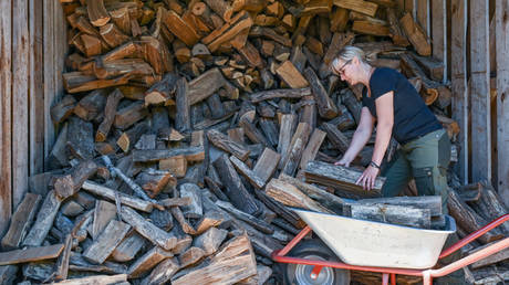 German firewood prices skyrocket – data