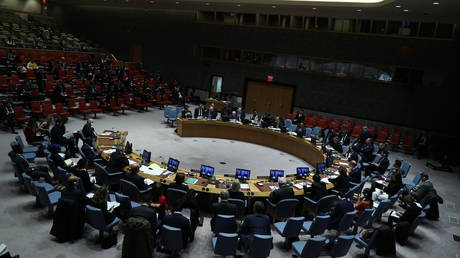 FILE PHOTO: United Nations Security Council meeting.
