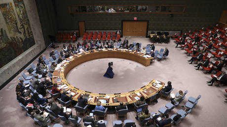 FILE PHOTO: Members of the UN Security Council meet at the United Nations headquarters in New York City.