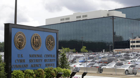 NSA employee tries to sell US hacking secrets