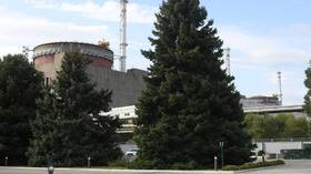 Last power unit switched off at Zaporozhye nuclear plant