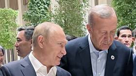 Prisoner requested by Putin freed in swap with Ukraine – Erdogan