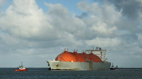 Almanya, BAE'den sadece bir LNG tankerini güvence altına aldı - medya