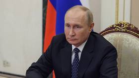 Putin considering talks with Kiev – Turkish FM