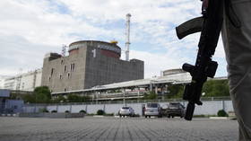 Ukrainian drone strikes Zaporozhye nuclear plant – local authorities