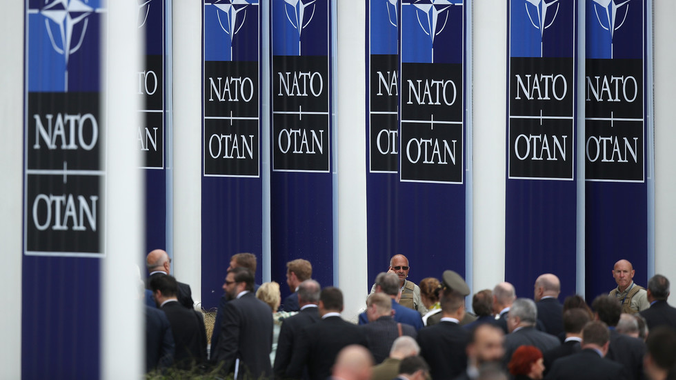 NATO ‘not obliged’ to assist Ukraine — German ambassador