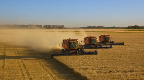 Russia estimates harvest potential of new regions