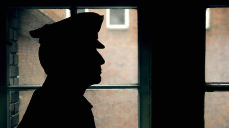 Ex-US marine sentenced in Russian cop attack