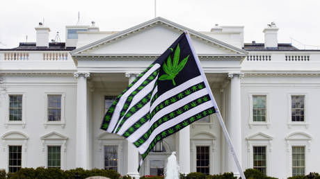 FILE PHOTO: A demonstrator waves a flag with cannabis leaves depicted on it during a protest calling for legalization at the White House in Washington, DC, April 2, 2016.