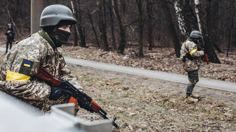FILE PHOTO: A Ukrainian army soldier observes his position.