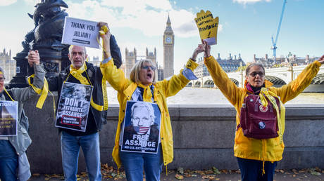 Julian Assange supporters hold 'Free Assange' placards during the protest.