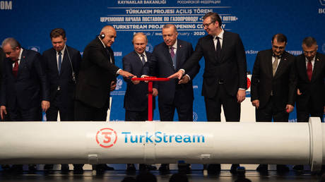 Russian, Turkish, Bulgarian and Serbian officials attend the opening ceremony of the Turkstream Project on in Istanbul, Turkey.