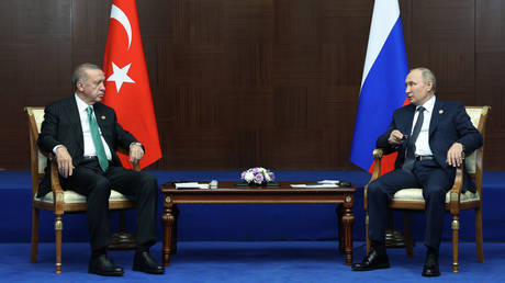 Putin offers Türkiye deal on EU gas supplies