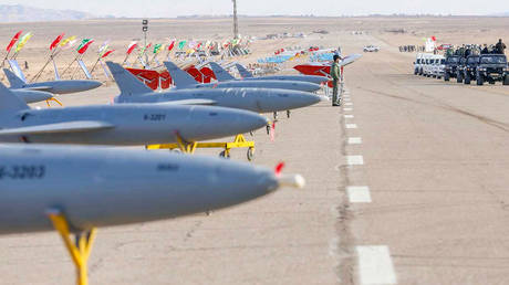 Iranian troops inspect their drones