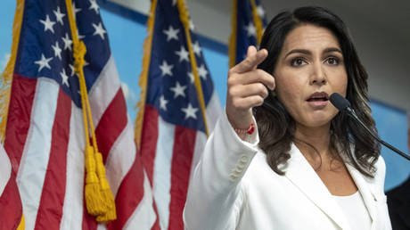 Tulsi Gabbard urges Democrats to follow her example