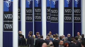 NATO ‘not obliged’ to assist Ukraine — German ambassador