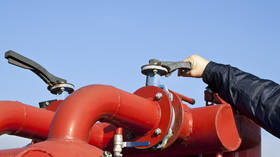 Russia resumes gas flow to EU state – Gazprom