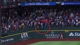 Baseball fan fails in desperate bid to snatch ‘$2 million home-run ball’ (VIDEO)