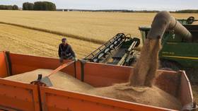 Russia set for record grain harvest – Sberbank
