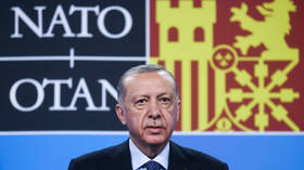 Erdogan will only back one Nordic country's NATO bid