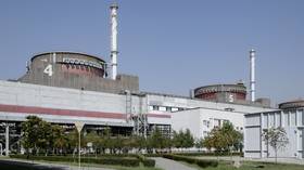 Ukraine halts electricity supply for nuclear power plant