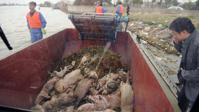 Porcine pollution: Thousands of dead pigs dumped in Chinese river (PHOTOS)