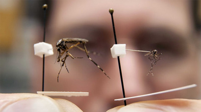 Genetically modified mosquitos could be used to fight malaria