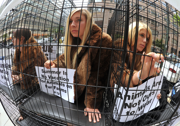 Animal rights activists in fur coats sitting in cages during a PETA(People for the Ethical Treatment of Animals) demostration in Washington, DC (AFP Photo / Karen Blaier)