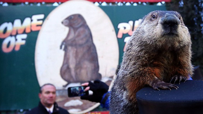 Punxsutawney Phil might face execution for wrong weather forecast
