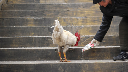 ‘Shocking incompetence’: UK health officials threw away £74m of bird flu ‘wonder-drug’