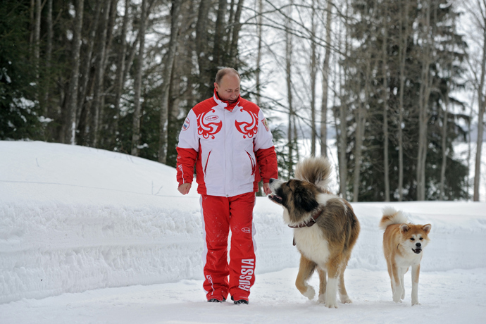 President Vladimir Putin and his dogs, Buffy the Bulgarian Shepherd and Yume the Akita-Inu, walk in the Moscow Region (RIA Novosti / Alexsey Druginyn)