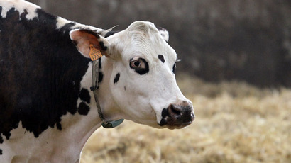 NZ dairy giant sounds new baby milk contamination alert