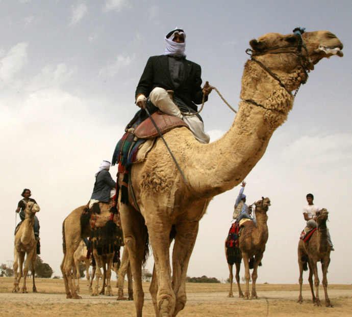 Israeli Bedouins ride camels during a Bedouin folklore festival, 28 April 2007, in the Negev desert near the southern Israeli town of Arad. (AFP Photo)