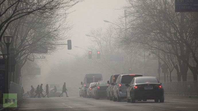 People walk during a heavily hazy winter day in central Beijing, January 12, 2013 (Reuters / Jason Lee)
