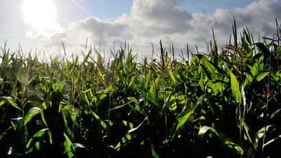 GMO green light? French court overturns ban on Monsanto corn