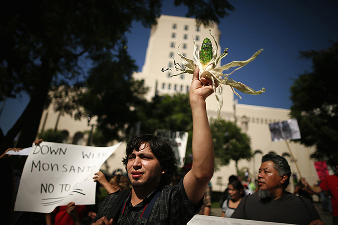 A man holds a painted ear of corn during one of many worldwide "March Against Monsanto" protests against Genetically Modified Organisms (GMOs) and agro-chemicals, in Los Angeles, California October 12, 2013. (Reuters / Lucy Nicholson)