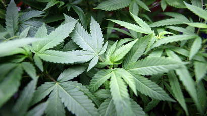 Uruguay senate to vote on legalizing sale of marijuana