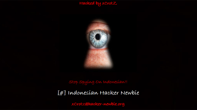 Indonesian 'Anonymous' hackers deface scores of Australian websites in revenge over spying