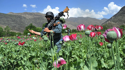 ​Land used for opium cultivation at historic high – UN