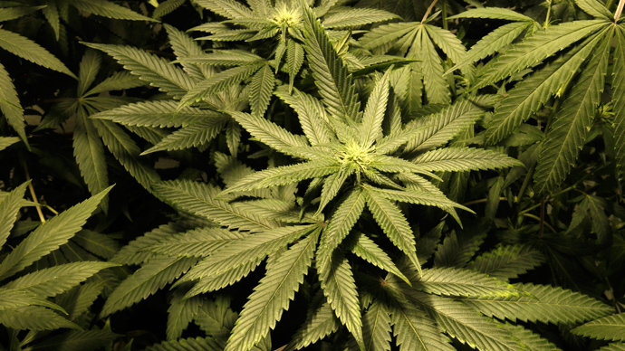 Denver legalizes marijuana for use on private property