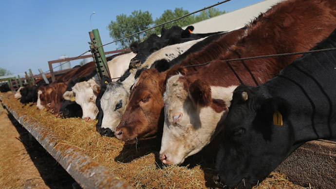 FDA takes first step at eliminating antibiotics in animal feed