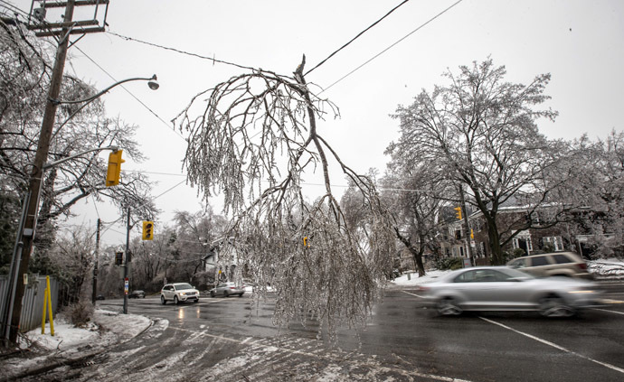 Cars drive by a fallen tree limb hanging from a power line following an ice storm in Toronto, December 22, 2013. (Reuters/Mathieu Belanger)