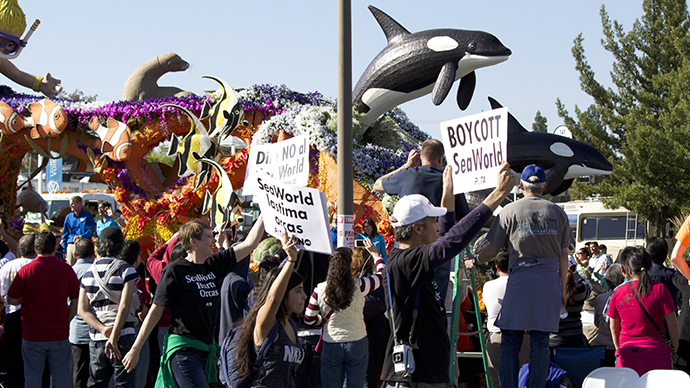12-year-old animal rights activist arrested in California for Seaworld orca protest