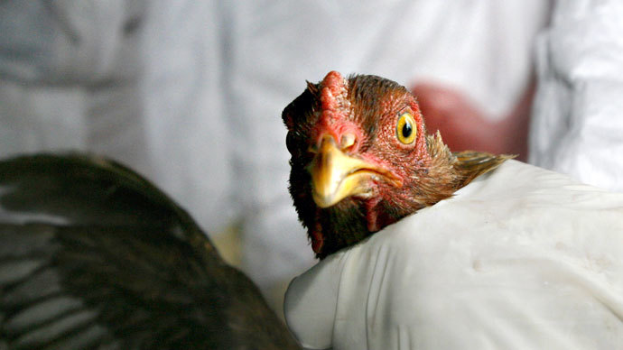 First deadly case of avian flu confirmed in North America