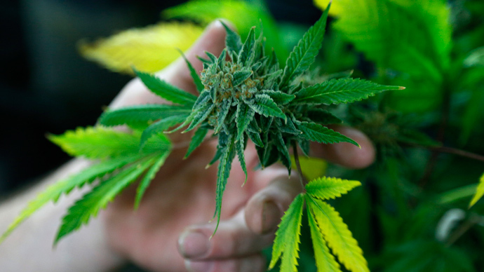 DEA admits marijuana legalization 'scares us'