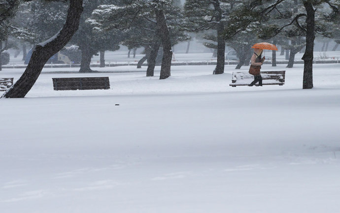 A woman walks in a park near the Imperial Palace as snow falls in Tokyo February 8, 2014 (Reuters / Toru Hanai)
