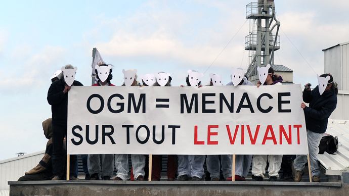 French law temporarily bans GM-maize planting while larger ban gains steam
