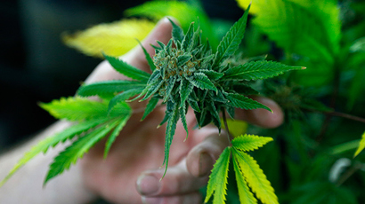​Canada considers fines instead of charges for pot possession