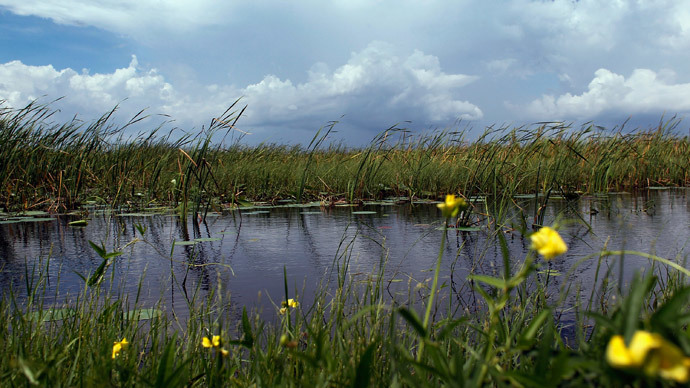 ​Illegal 'fracking-like' oil drilling halted in ecologically-sensitive Everglades