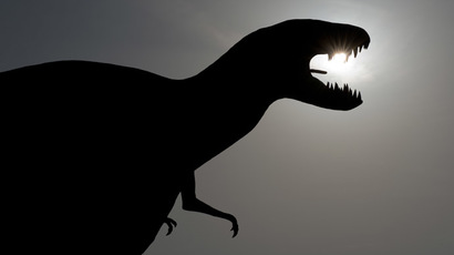 Dinosaurs wiped out by ‘nuclear winter’ effect, not firestorm after asteroid – study